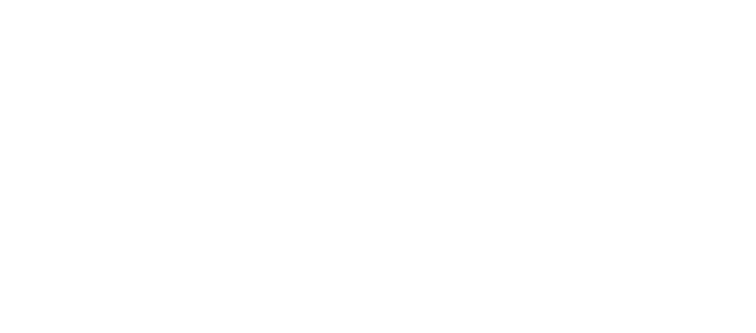 Joy Insure